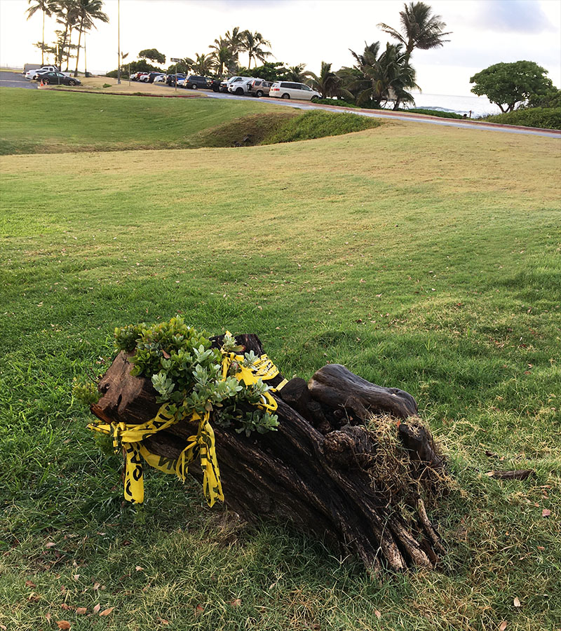 Lil' Ms. Hennykins Sweet Beaks Shed