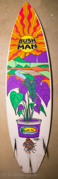 Hanalei Poi My Surfboard Art Bushman