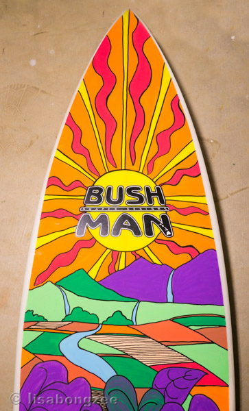 Hanalei Poi My Surfboard Art Bushman