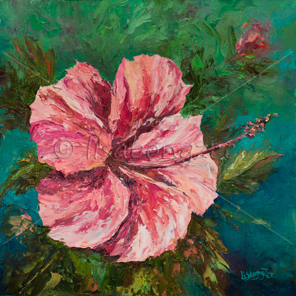 Pink Hibiscus