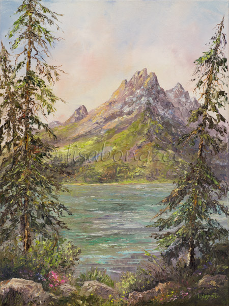 Thru The Trees Jenny Lake Grand Teton National Park