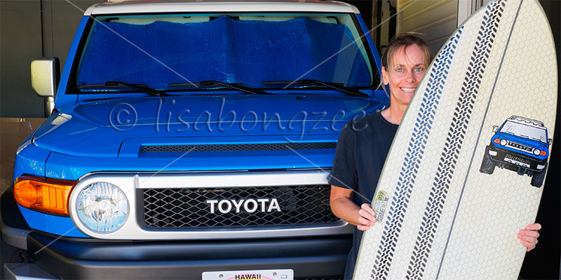 FnJDaviez My Surfboard Art