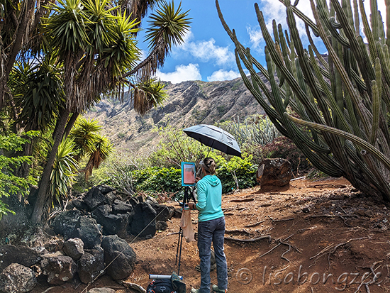 Koko Crater Botanical Gardens
