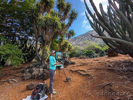 Koko Crater Botanical Gardens