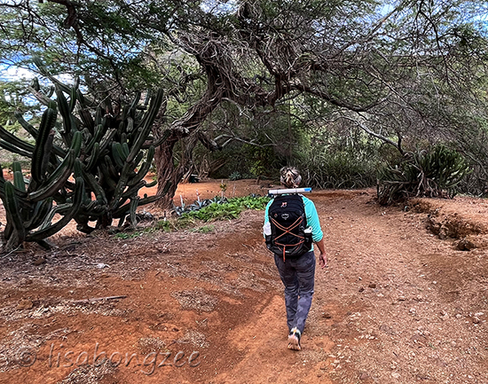 Koko Crater Botanical Gardens