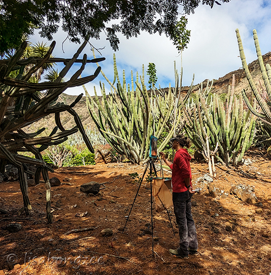 Koko Crater Botanical Gardens