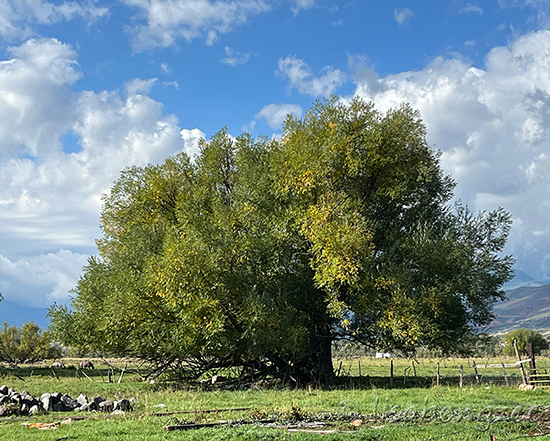 North Fields Heber Valley Utah