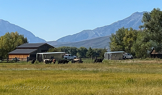 North Fields Heber Valley Utah