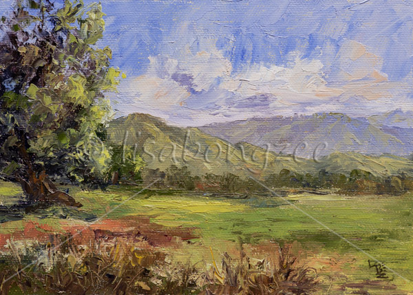 North Fields Heber Valley Utah