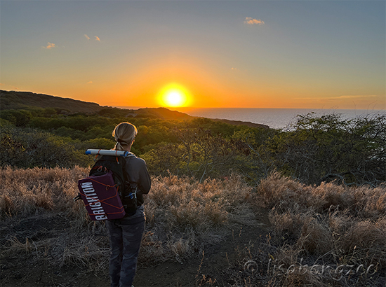 Koko Crater