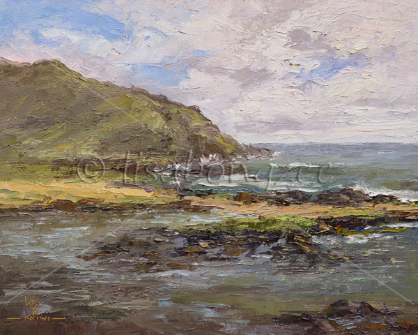 Ka Iwi coast looking towards Alan Davis