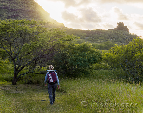 Pele's Chair Alan Davis Beach