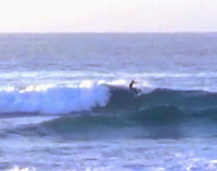 The Beach Is My Happy Place Surfing Sandy's