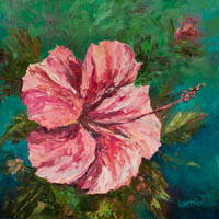 Pink Hibiscus