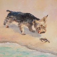 Curious Crabby Claws