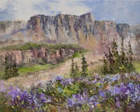 Death Shelf In Bloom Grand Tetons