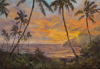 Makapu'u Morning Magic