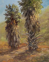 Koko Crater Botanical Gardens