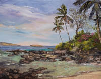 Makena Cove Maui