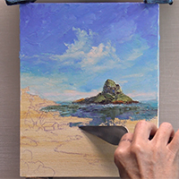 Bye~Gone Hawaii Chinaman's Hat