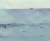 A Whale Of A Morning