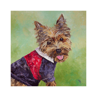 For the Love of a Yorkie